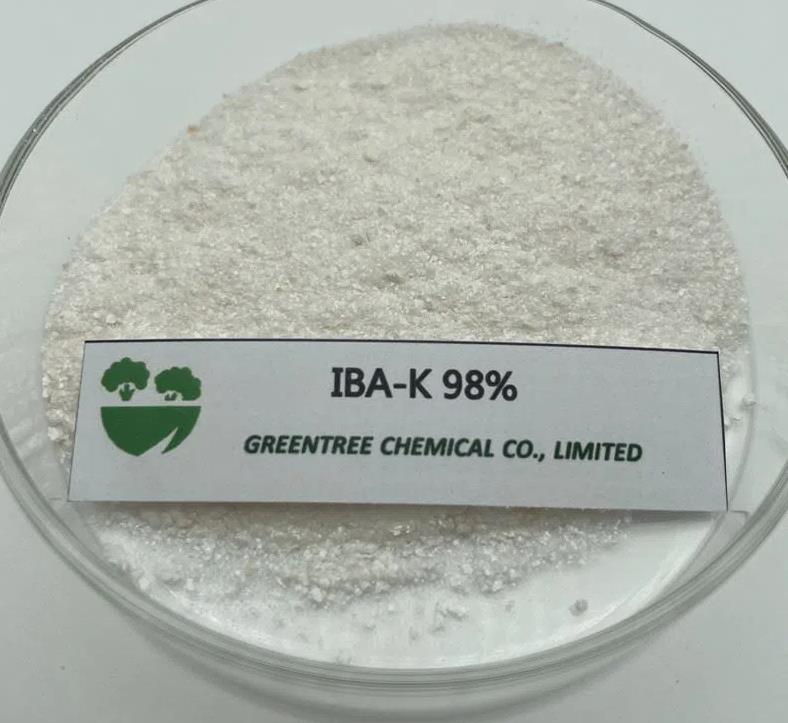 Potassium indolebutyrate IBA-K Potassium indolebutyrate IBA-K