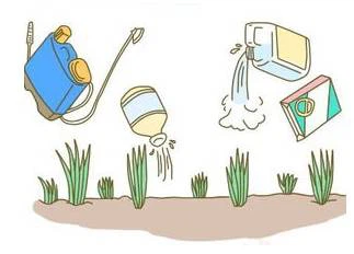 Pesticide mixing Pesticide mixing