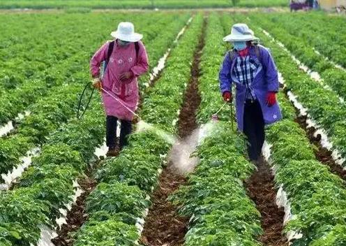 Pesticide spray mix Pesticide spray mix