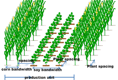 soybean-corn compound planting