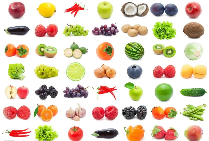 vegetable and fruit
