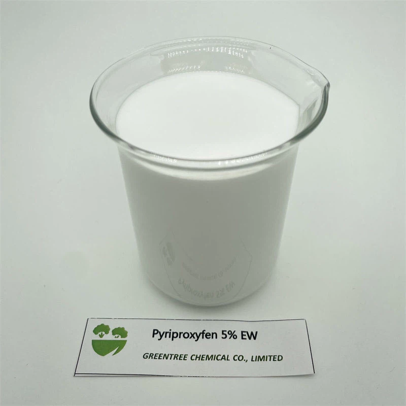 95737-68-1 95737-68-1