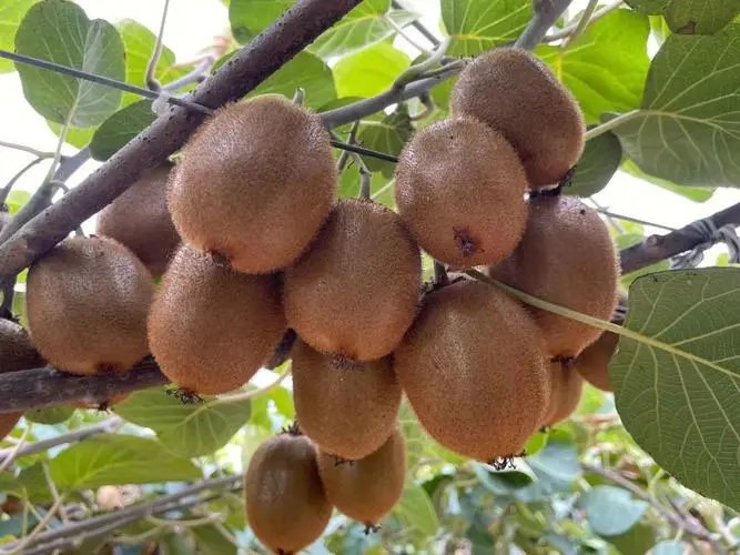 u12764833273568687583fm253fmtautoapp138fJPEG u12764833273568687583fm253fmtautoapp138fJPEG