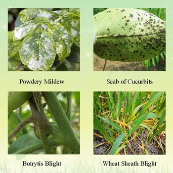 Application Application