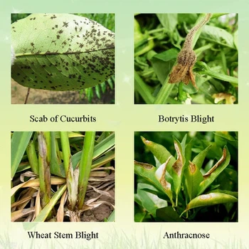 Pyrimethanil Pyrimethanil