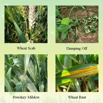 Application Application