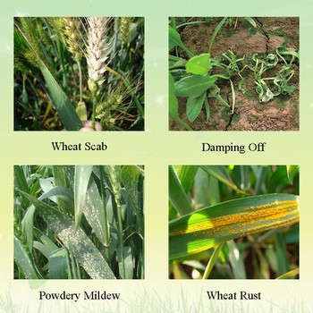 Application Application