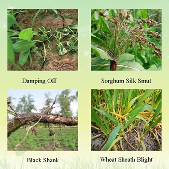 Application Application