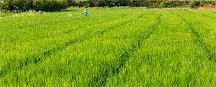 0823dd54564e92589f5ed31582470954cdbf4e30 0823dd54564e92589f5ed31582470954cdbf4e30