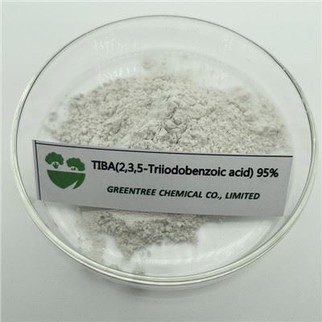 CAS NO. 88-82-4 TIBA 2,3,5-Triiodobenzoic Acid 95% Tc for Lawn
