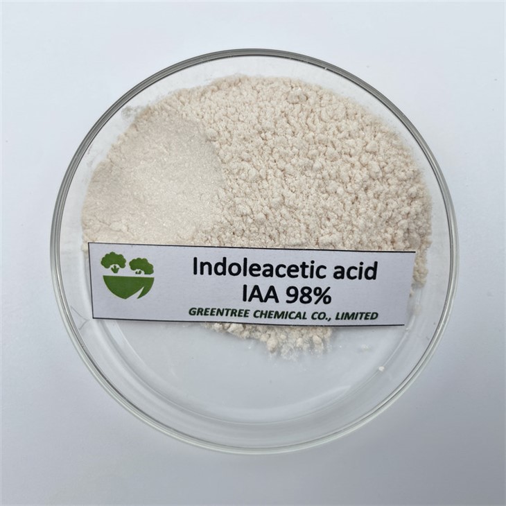 CAS 87-51-4 Iaa 98%Tc Agricultural Plant Growth Promotion Indole-3-Acetic Acid 98%Tc