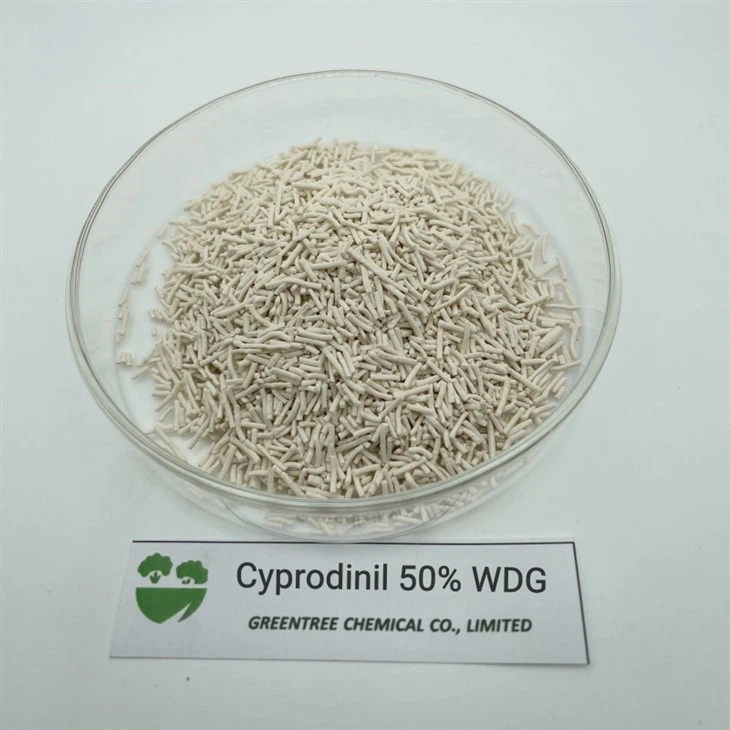 CAS NO. 121552-61-2 Cyprodinil 50% Wdg Fungicide