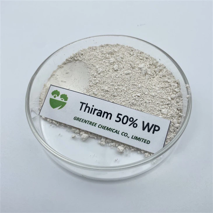 CAS 137-26-8 Fungicide Thiram 50% Wp Powder C6H12N2S4