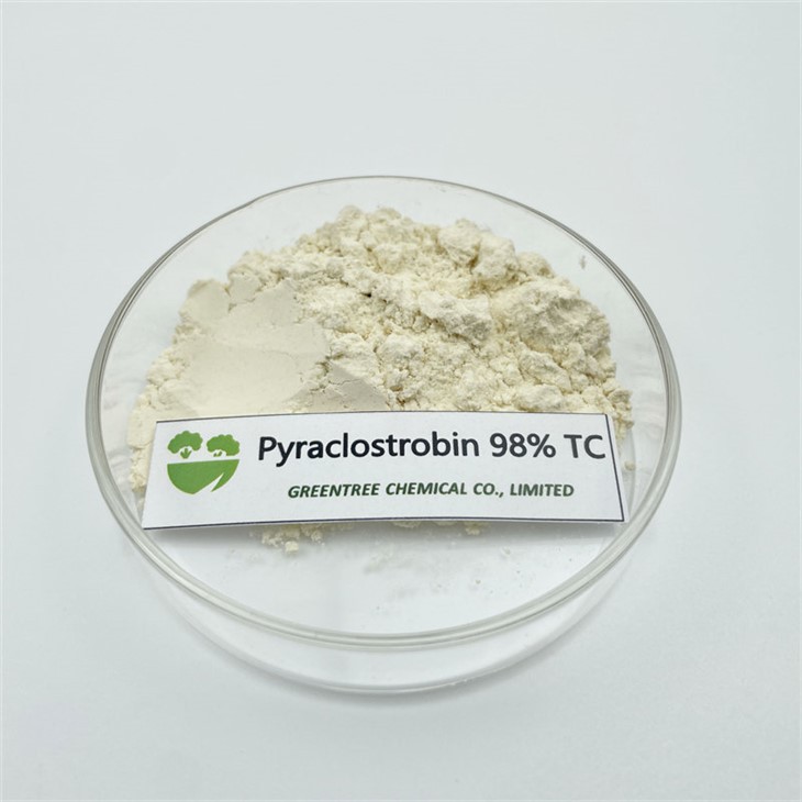 CAS NO.175013-18-0 Pyraclostrobin Fungicide 98% Tc Technical