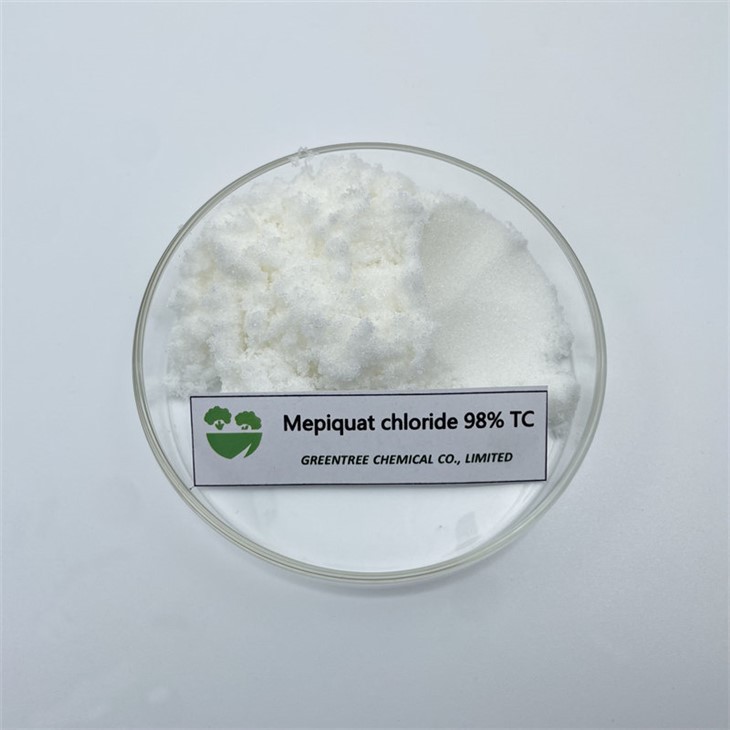 CAS NO. 24307-26-4 Mepiquat Chloride 98% in Cotton Plants
