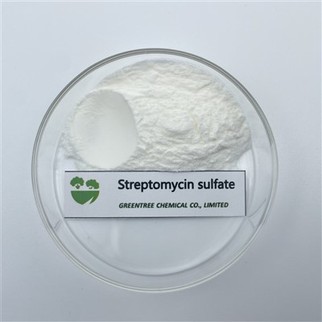 CAS 3810-74-0 Streptomycin Sulfate Salt Fungicide