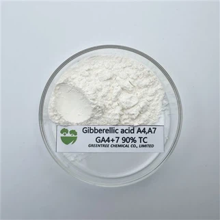 CAS No. 510-75-8 Gibberellin Ga4+7 90 Tc Promote Plant Growth