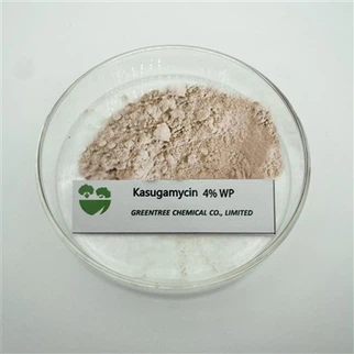 CAS NO. 6980-18-3 Kasugamycin 4% WP Powder C19H18ClN3O4