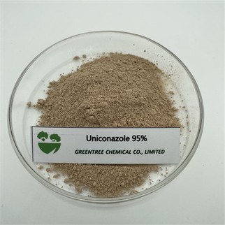CAS No. 83657-22-1 Fungicide 95%Tc 5%Wp Uniconazole Plant Growth Regulator