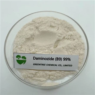 C6H12N2O3 Daminozide (B9) Pgr 99% Control Overgrowth Plant Hormone