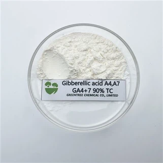 Ga4+7 90% Tc Gibberellin Gibberellic Acid From Agrochemical