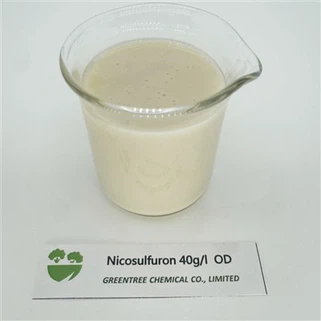 Herbicide Nicosulfuron 40 G/L OD Cornfield Selective Weedicide