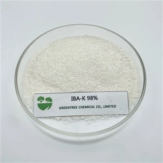 Iba-K Indolebutyric Acid Potassium Salt 98%Tc Agricultural Growth Regulator C12H12KNO2 CAS No. 60096-23-3