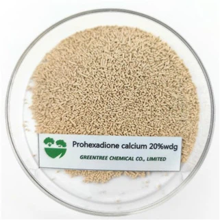 2(C10H11O5)Ca Prohexadione Calcium 20% Wdg Plant Growth Regulator