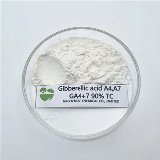 Gibberellin 90% Tc Ga4+7 for Raise The Protein Content