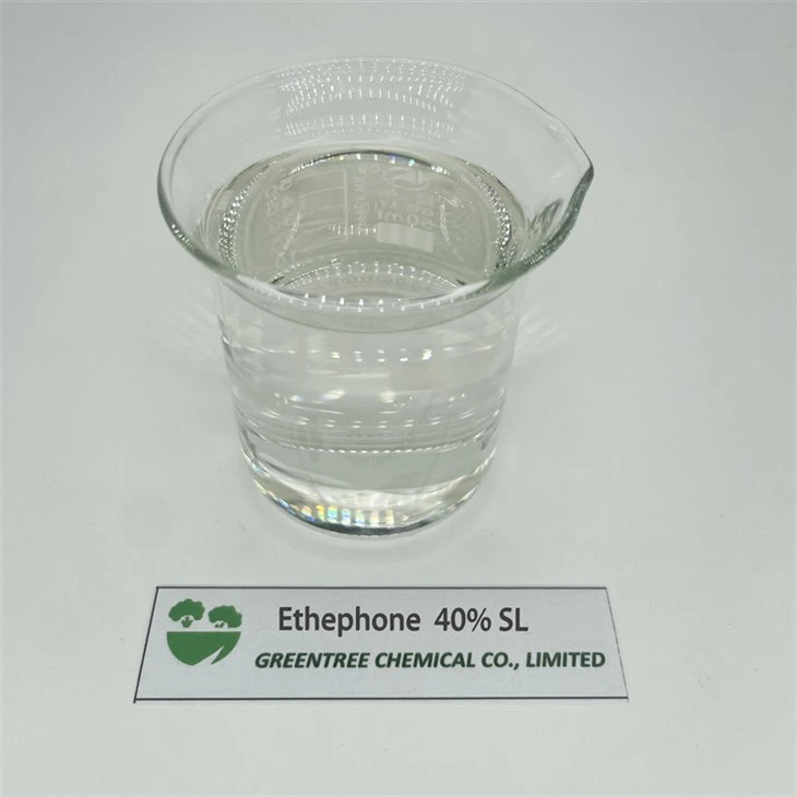 Supply Liquid Ethephon 40% SL for Banana Ripening C2H6CIO3P