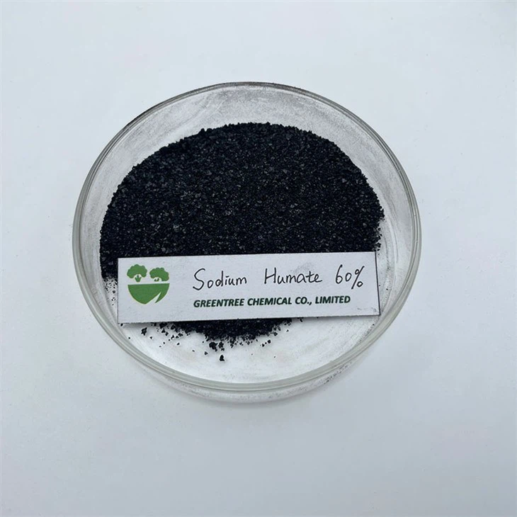CAS 68131-04-4 Mineral Source Rough Granule Humic Acid Sodium Humate 60% For Oil Drilling Fluid