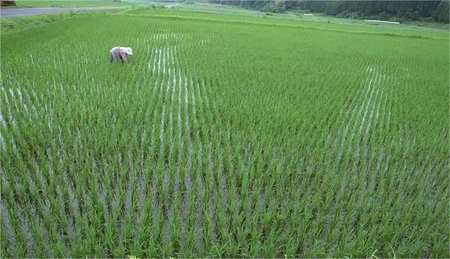 info-640-368 info-640-368