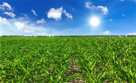 info-1280-785 info-1280-785