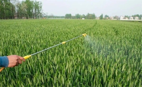 info-1080-661 info-1080-661