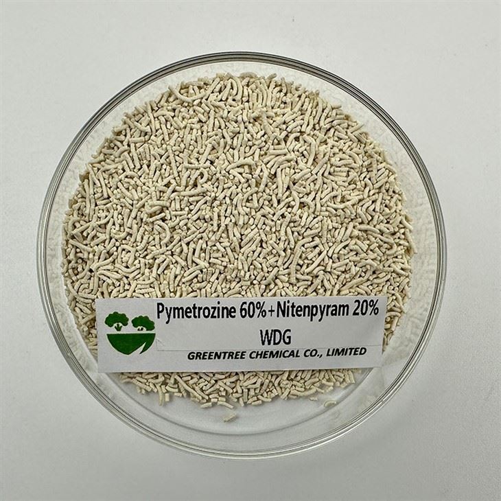 Agricultural Chemicals Insecticide Pymetrozine 60 + Nitenpyram 20 Wdg For Aphid Thrips Killer