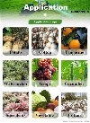 Indonesian Customer Orders Gibberellic Acid GA3 90% TC To Boost Fruit & Veget...