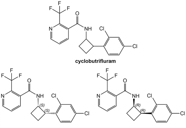 news-1791-1232 news-1791-1232