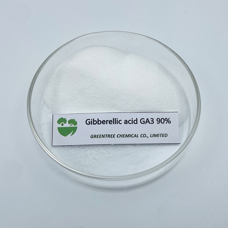 Gibberellic GA3 90%TC