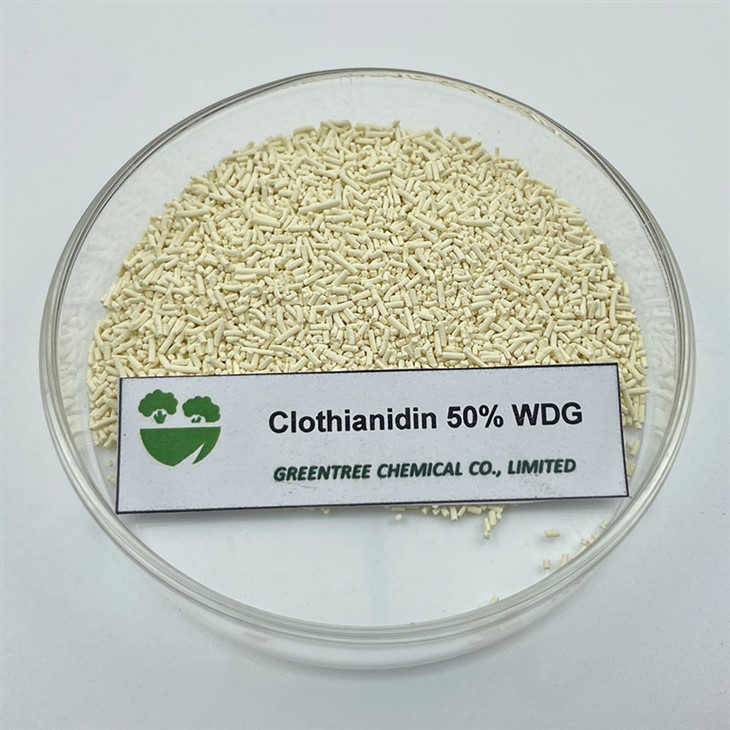 C6H8ClN5O2S Insecticide Pesticide Clothianidin 50% Wdg Products