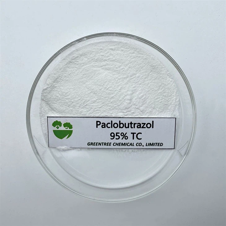 CAS NO. 76738-62-0 Paclobutrazol 95% Tc for Mango Fertilizer