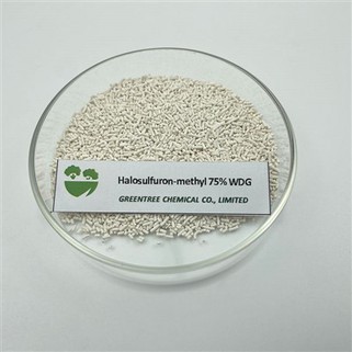 Halosulfuron Methyl 75% Wdg Herbicide Weedicide For Broad-Leaved Weeds