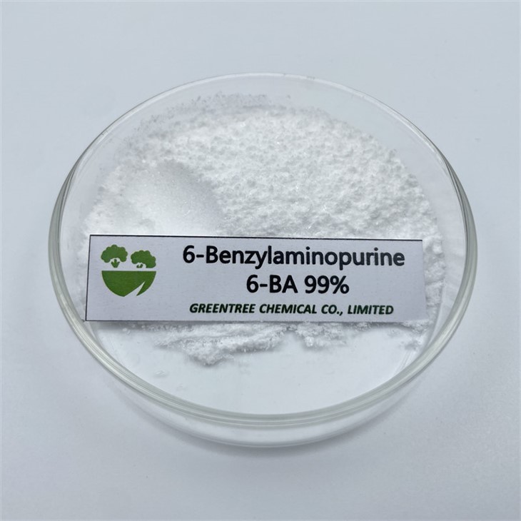 Plant Hormone 99% TC 6-Benzylamino Purine 6-BAP 6-BAP
