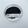 What is the best fertilizer for cacti?